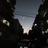 夜