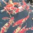 豆友b98A2rv6r8