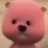 黄杨