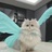 豆友AQKsptoePc