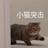 白鸥