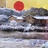 向着阳光奔跑