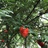 豆友Xg6xsyZSHA
