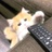豆友WwSfbmuE1g