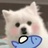 豆友TiMSehN2vk