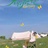 豆友4tz0oHB8vE