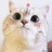 豆友ox3ZVwvlqE