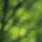 wuji527