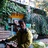 wangwang