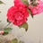 豆友6uOXKiX2to