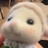 豆友281272504