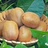豆友8zbCgnqtVw