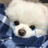豆友1I_-dUDmfs