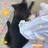 豆友mNkPNa3HJg