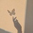 蓝莓米花