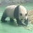 豆友QKMcy9KExE