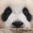 泊墨古史