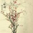豆友31FS1jM6vw