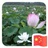 豆友W6EAMQEAIA