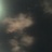 渡