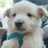 豆友3PTCSNdaYA