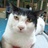 豆友XXoto79A7o