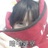 小小小小宇宙