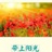 豆友yU7YrpqRe4