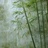 山上木