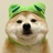 豆友wiFtESWnHo