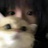 豆友17OGONqgHs