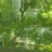 豆友5GC0q-_A04