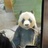 豆友jM8RNNV4Rs
