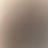 新来