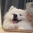 豆友aWIouv7LMs