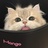 小兜ʕ ᵔᴥᵔ ʔ