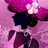 豆友TvQob94kNU