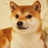 速度vbhg