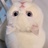 猫咪66666