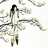 安瑟芬妮