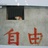 红毛龟