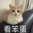 海平线NimbuS