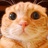 Jenny.CHEN