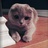 Anygo_
