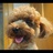 hi！miya