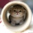 [已注销]