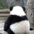 D调超人