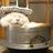 猫叔