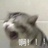 潜水喵一号