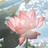 蓬蒿人